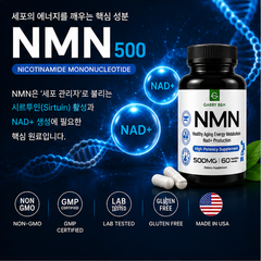 GABBY B&H NMN 500 | Healthy Aging & Cellular Energy Support