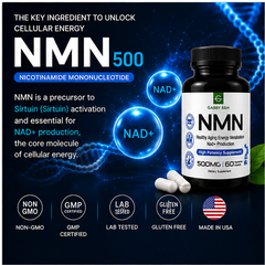 GABBY B&H NMN 500 | Healthy Aging & Cellular Energy Support