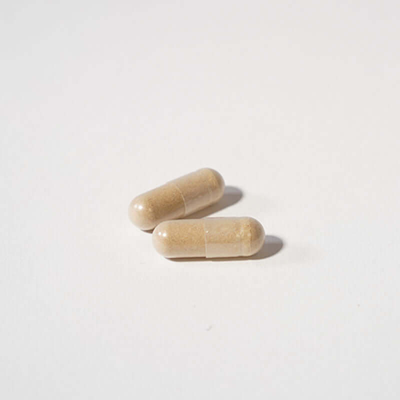 Liver Care 리버케어 120 Caps
