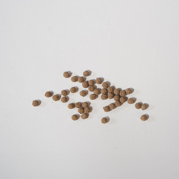 Insan Safflower Seed 인산 홍화씨 200g